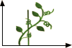 Plant habit